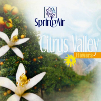 Náplň do osviežovača - SpringAir Citrus Valley 