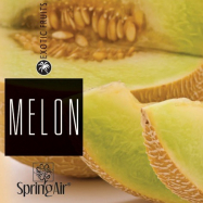 Náplň do osviežovača - SpringAir Melon 