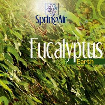 Náplň do osviežovača - SpringAir Eucalyptus 
