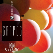 Náplň do osviežovača - SpringAir Grapes 