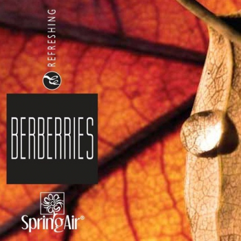 Náplň do osviežovača - SpringAir Berberries 